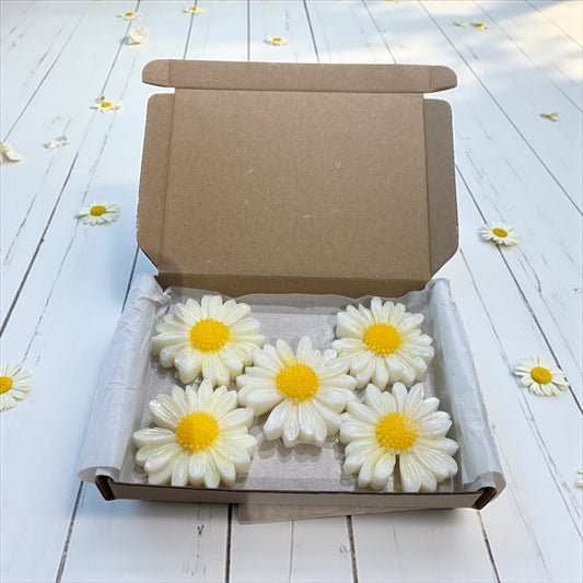 Daisies - Daisy Shaped Wax Melts