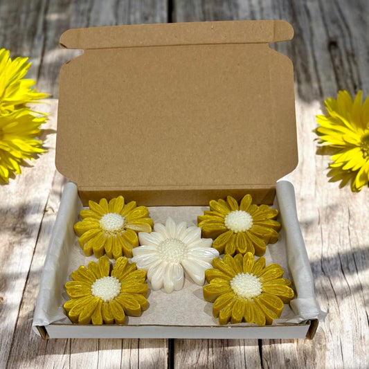 Empowerment - Daisy Shaped Wax Melts