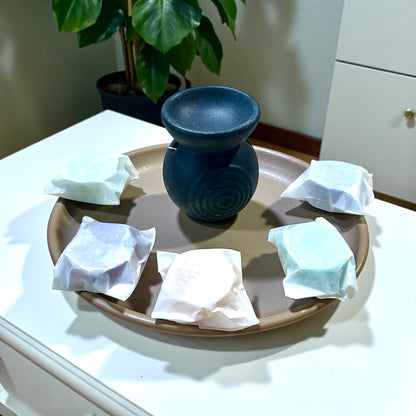 Wax Melt Burner & 5 Wax Melts