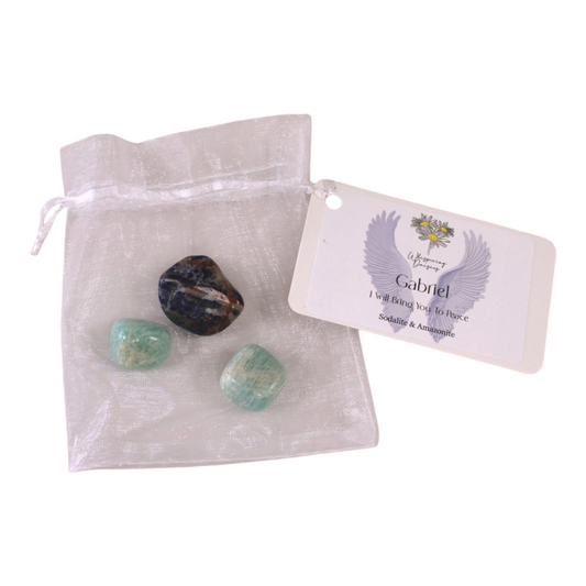 Gabriel - Angel Crystal Bag