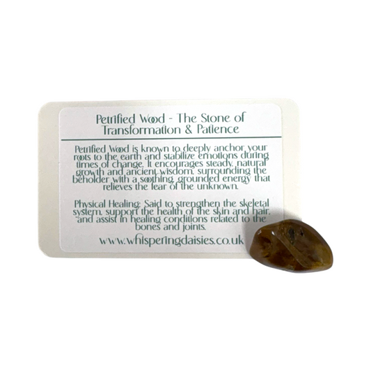 Petrified Wood - Tumblestone