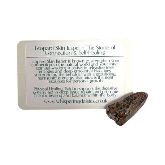 Leopard Skin Jasper - Tumblestone