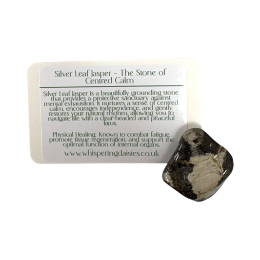 Silver Leaf Jasper - Tumblestone