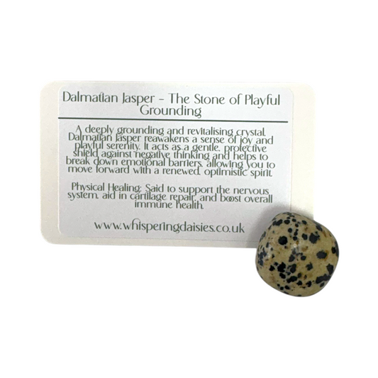 Dalmatian Jasper - Tumblestone