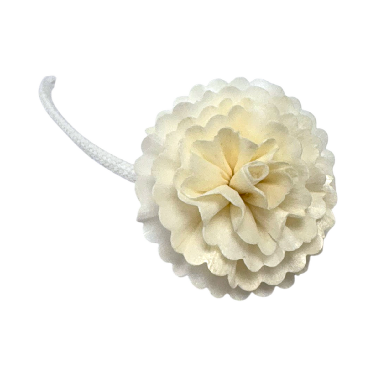 Carnation Flower Reed