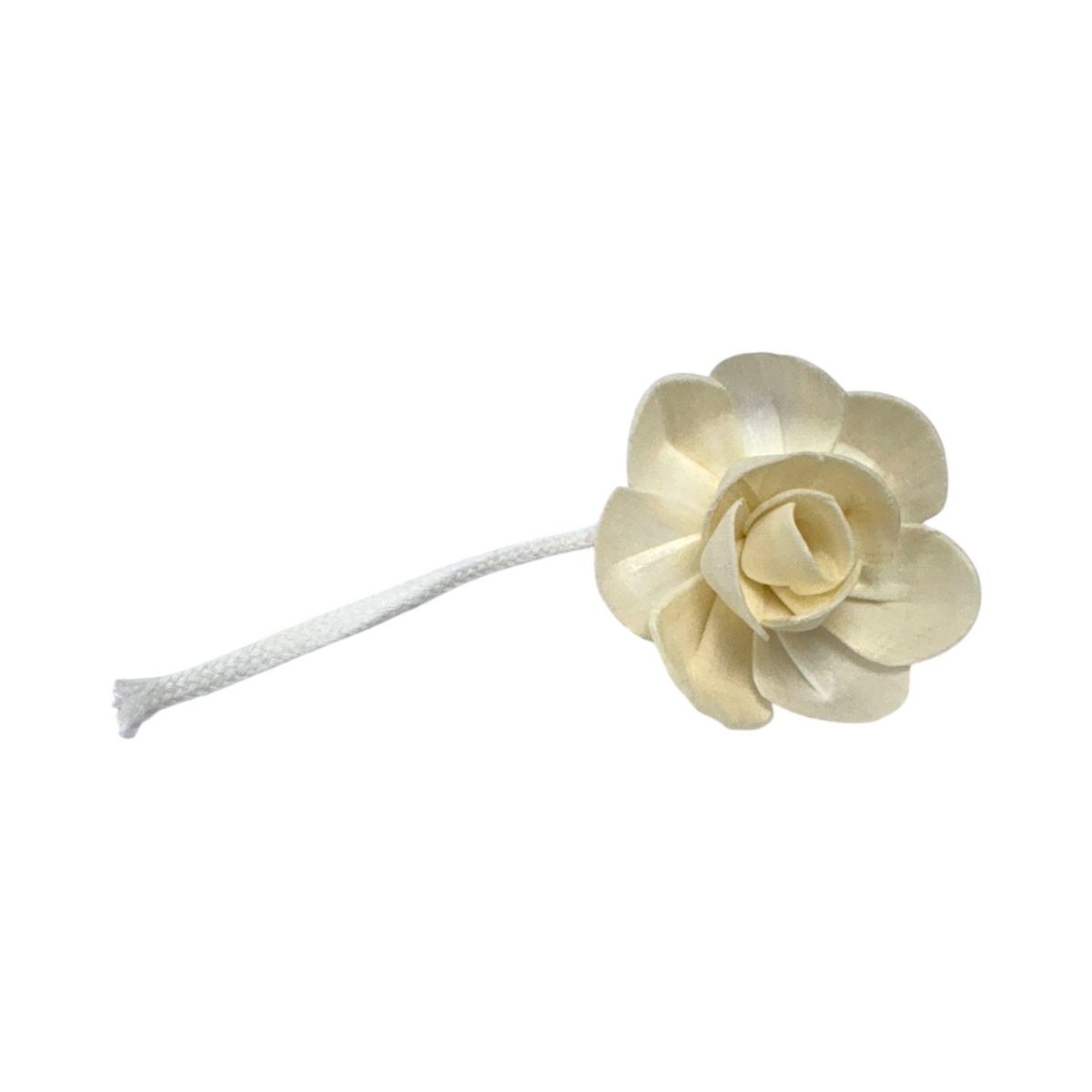 Lotus Flower Reed