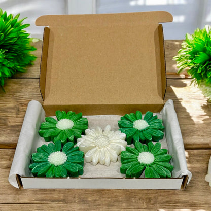 Kindness - Daisy Shaped Wax Melts