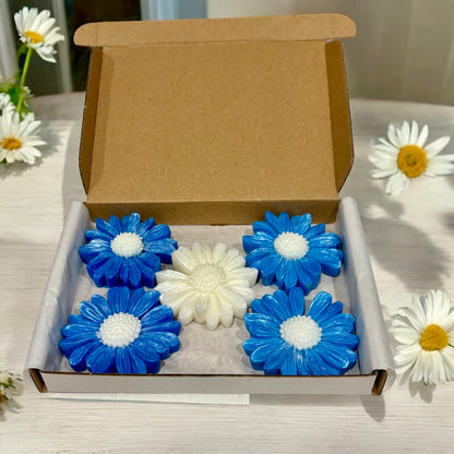 Truth - Daisy Shaped Wax Melts