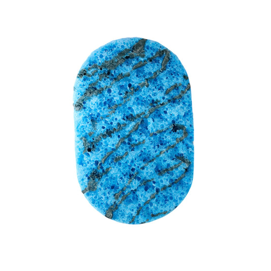Westward Ho! Dual-Sided Soap Sponge
